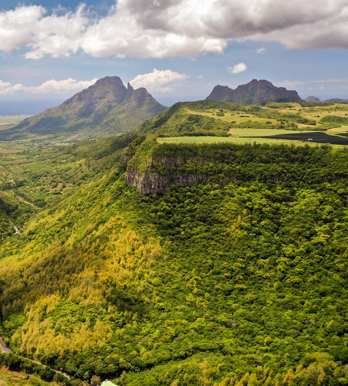 Mauritius Special License